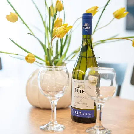 Apartment Ameda Luxury