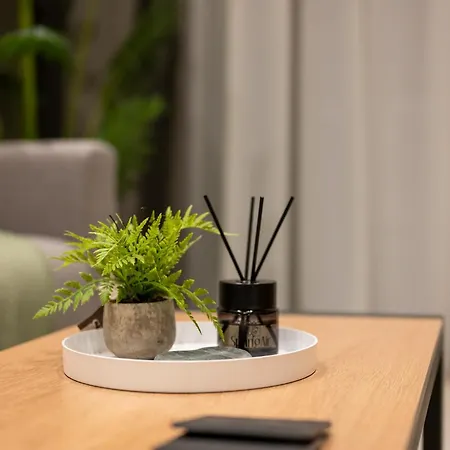 Ameda Luxury Apartment *